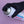 Load image into Gallery viewer, Bondseal 2080NC: Do-It-All Spray Adhesive
